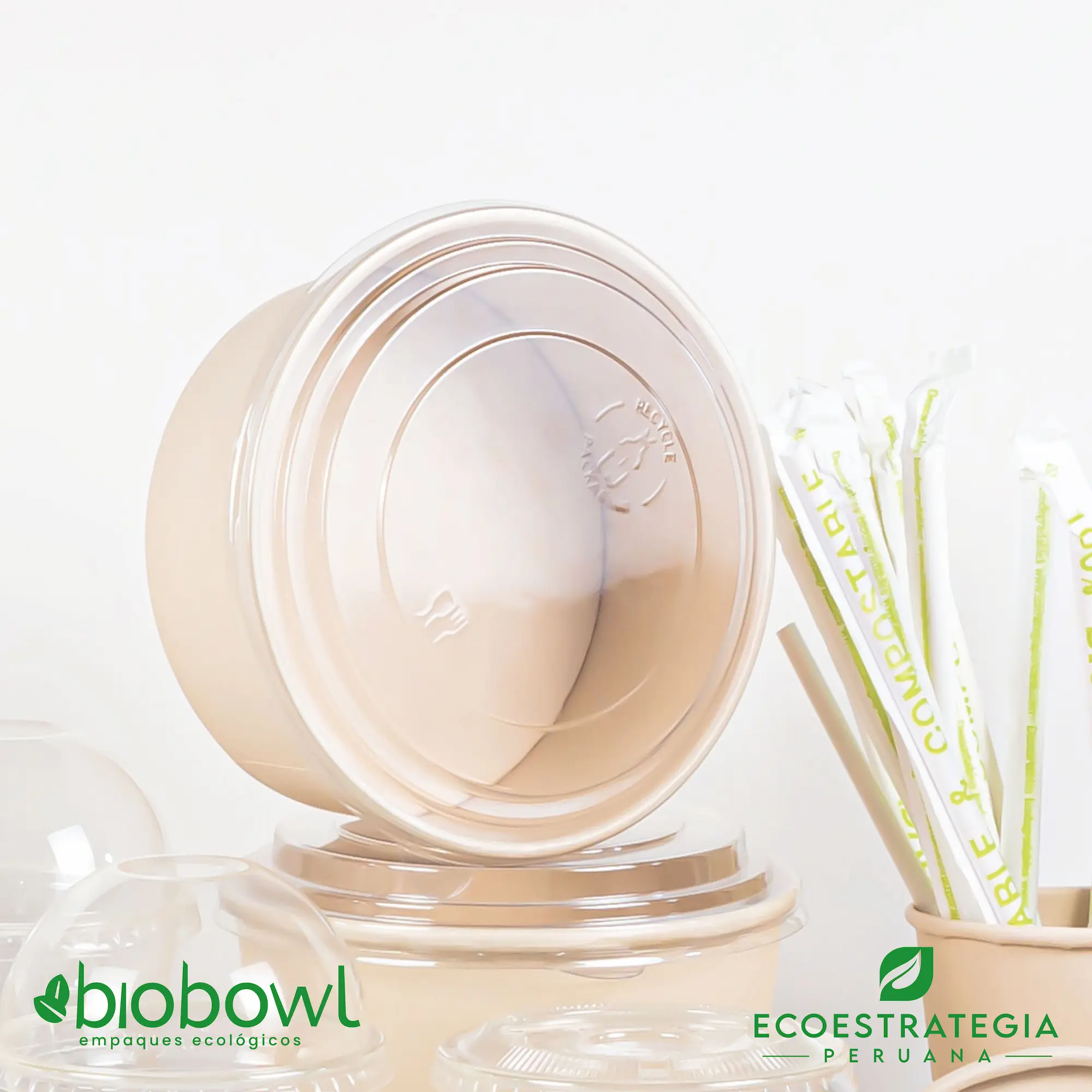 Bowls Biodegradables
