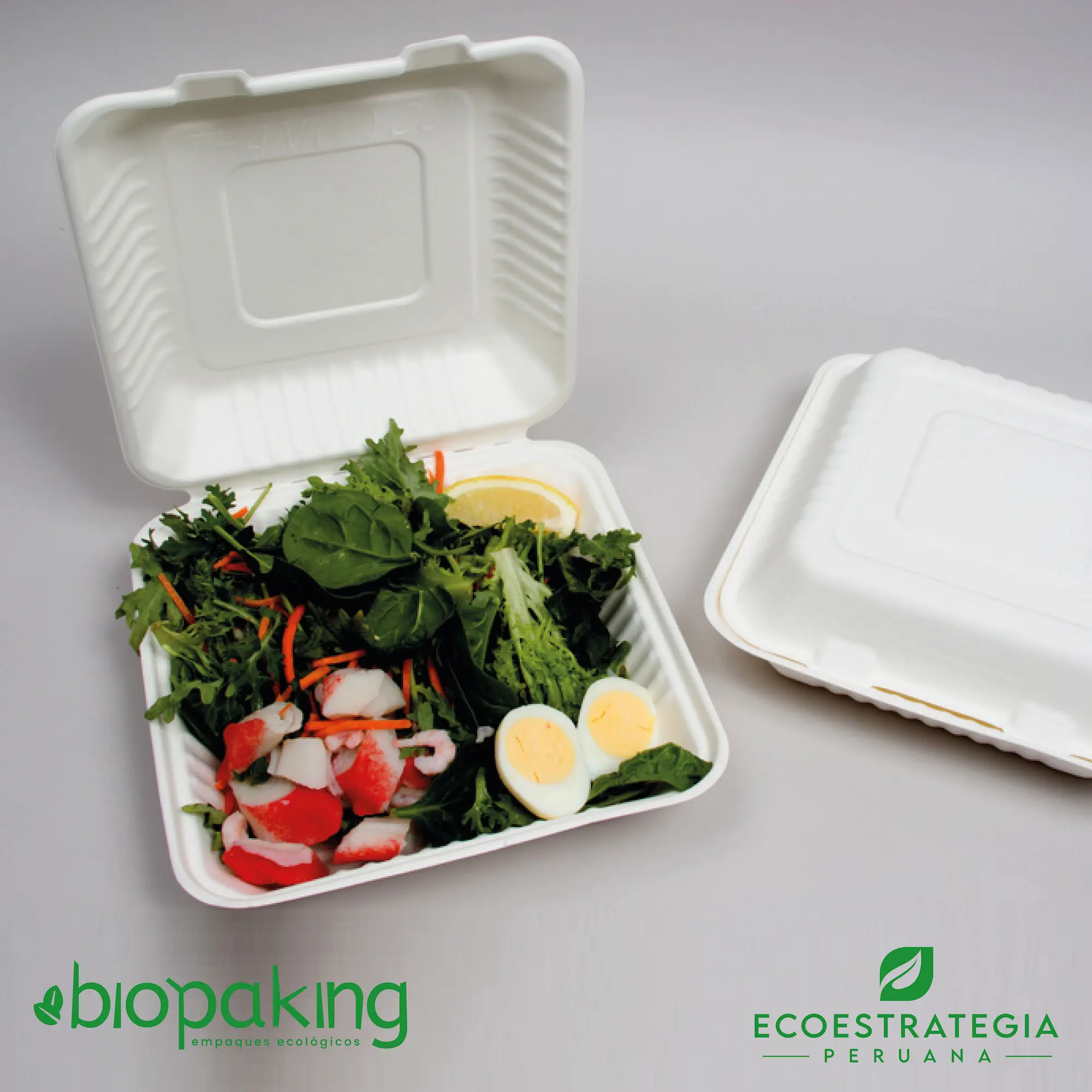 Este envase CT1 tiene una capacidad de 1500ml. Producto de materiales biodegradables, hecho a base de fibra de caña de azúcar, empaques y tapers para comidas