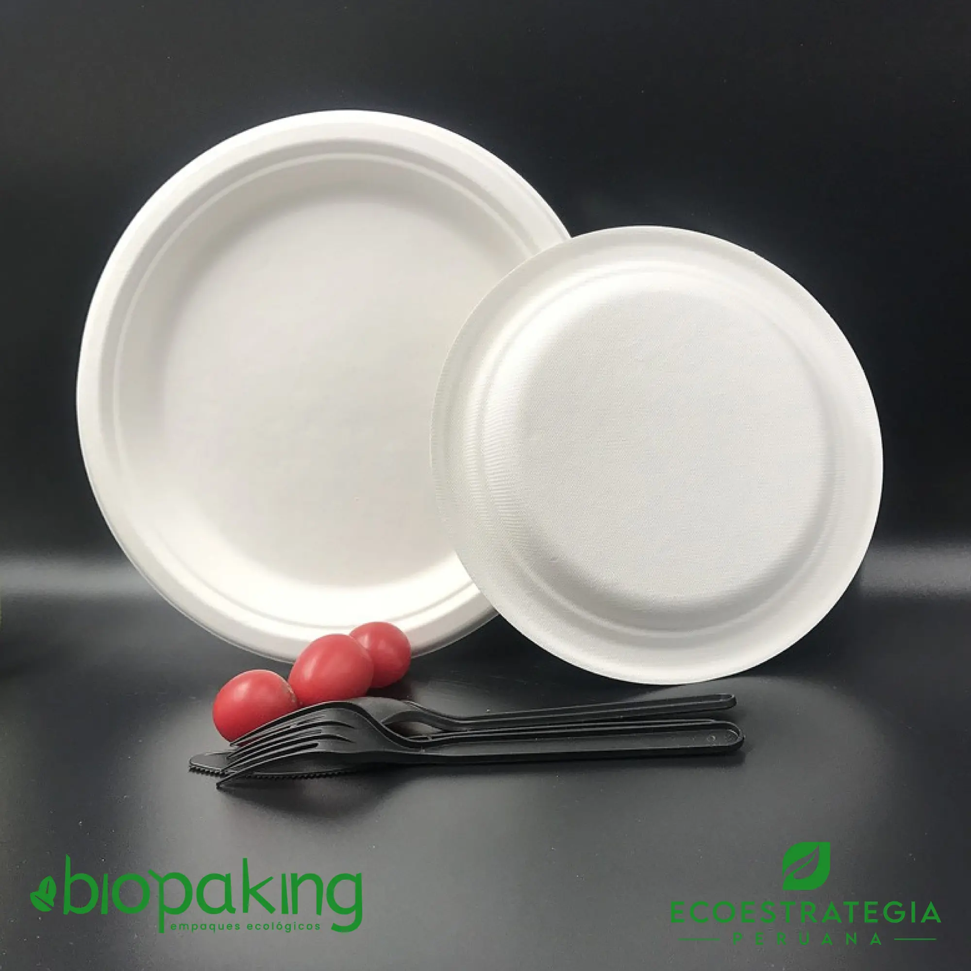 Platos Biodegradables