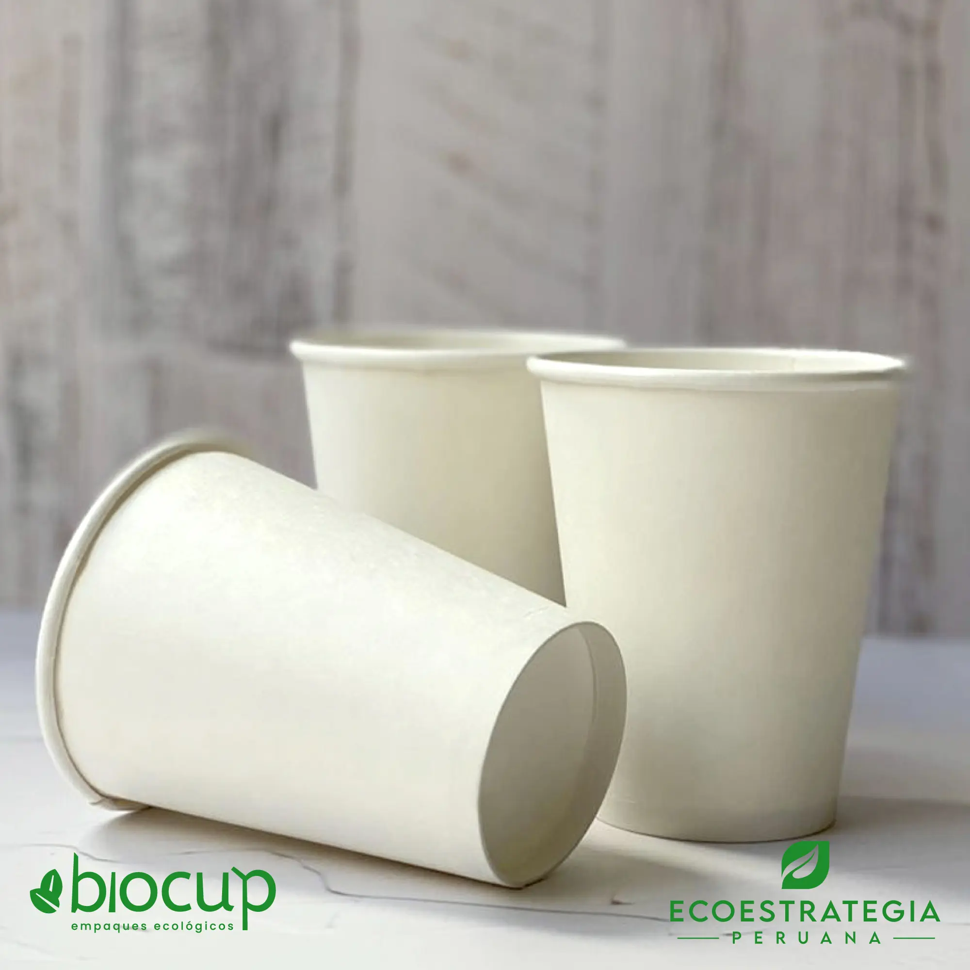 Vasos Para Bebidas Calientes